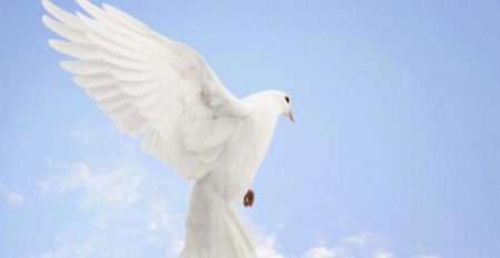 Peace Day